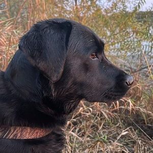 Meet your Posher, Tim